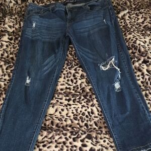 Vintage Violet Distressed Blue Boyfriend Jeans Size 20W